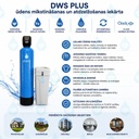DWI10 (2).jpg