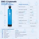 dwo 12 auto.jpg