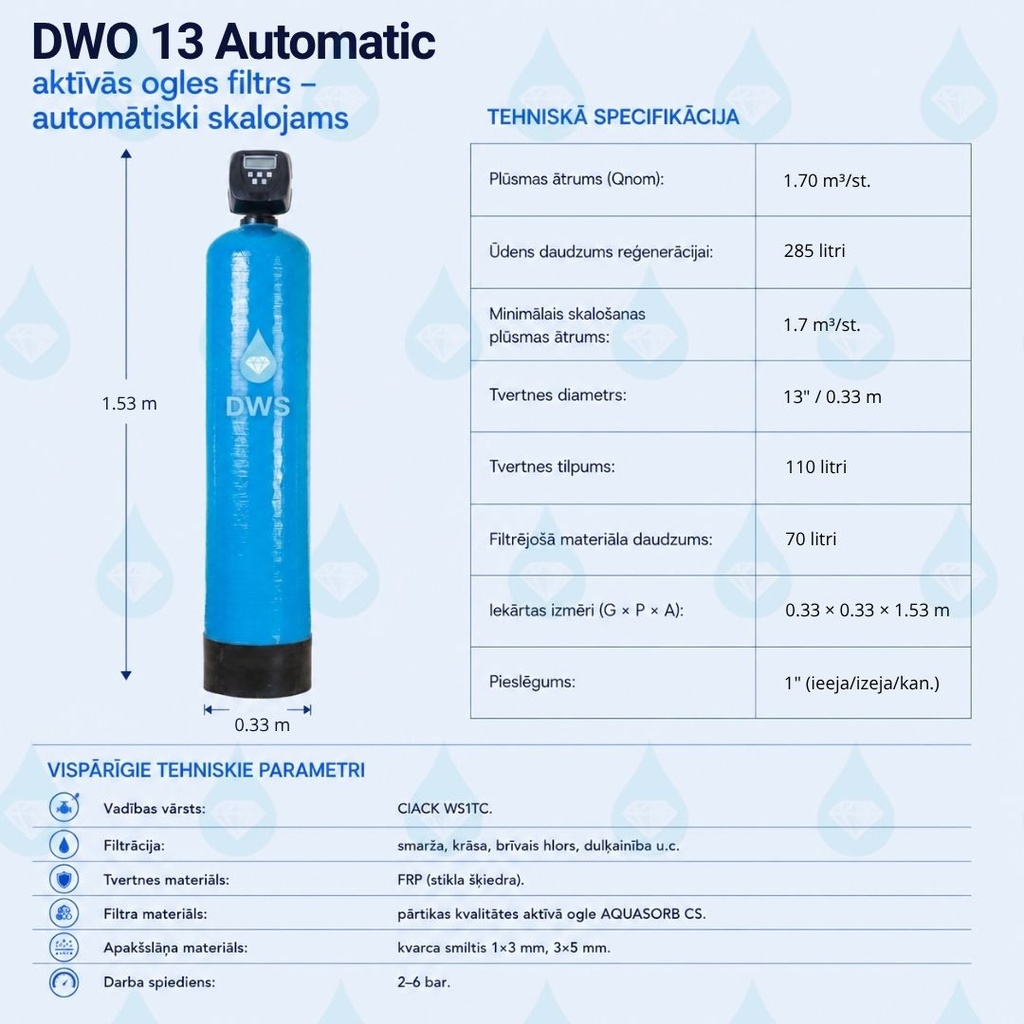 dwo 13 auto.jpg